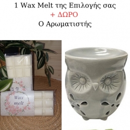 1 Wax Melt Κερί Σόγιας 100gr Αρωματικό + Δώρο 1 Αρωματιστή Κεραμικό 9x8εκ. Γκρι Κουκουβάγια