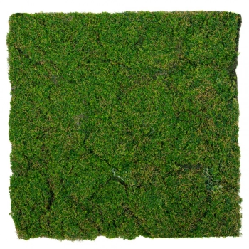 Επιφάνεια Βρύα Πράσινη 50x50εκ. iliadis 89921