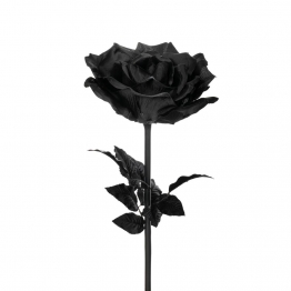 Κλαδί Με Τριαντάφυλλο Γίγας Μαύρο iliadis Φ50x136εκ. 85598