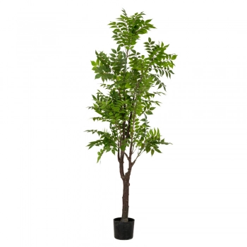 Διακοσμητικό Φυτό Real Touch Ακακία Πράσινο 180εκ. iliadis 89792