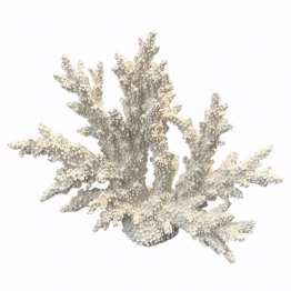 Διακοσμητικό Κοράλλι PC Λευκό Art Et Lumiere 34x13x27εκ. 20142