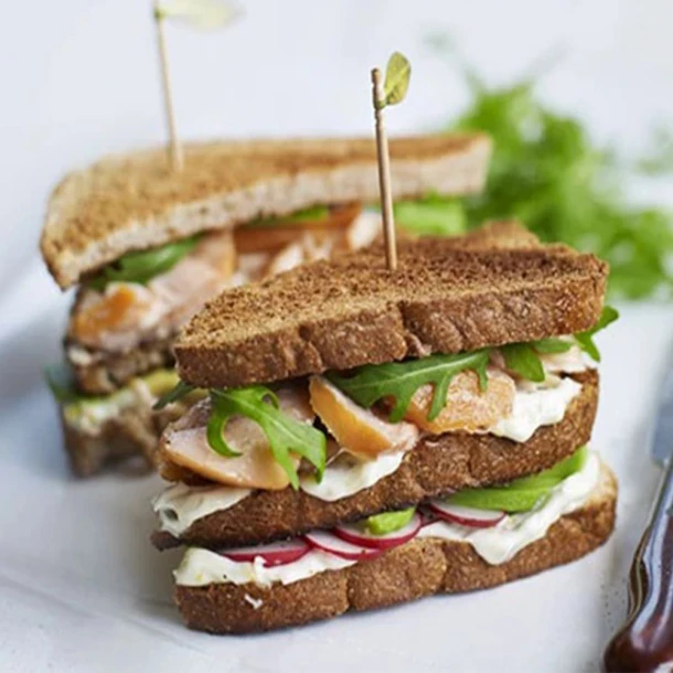 Οδοντογλυφίδες Club Sandwich 10 cm Dolphin
