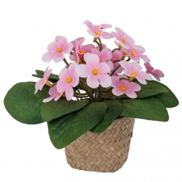 Μαργαρίτες Ροζ 17εκ. Σε Κασπώ Seagrass Φ9x7εκ. iliadis 92925