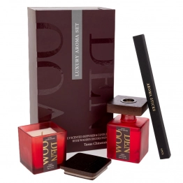 Σετ 2τμχ Αρωματικό Χώρου Με Stick 100ml Και Κερί 90gr Σε Συσκευασία Πολυτελείας iliadis 91535