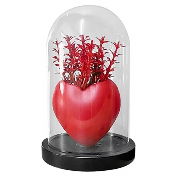 Γυάλα Με Λουλούδια Κόκκινη Καρδιά 11x18εκ. Homie 22-3026