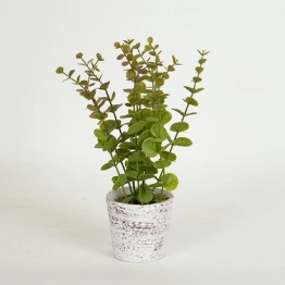Γλαστράκι Πλαστικό Με Φυτό Πράσινο 29εκ. ESTHETI 758-14010