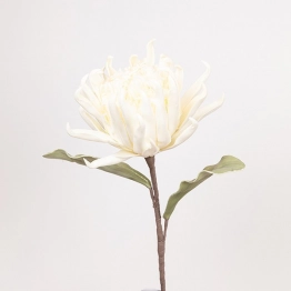 Κλαδί Με Λουλούδι Πρωτέα Foam 15x95εκ. Λευκό ESTHETI 816-20062