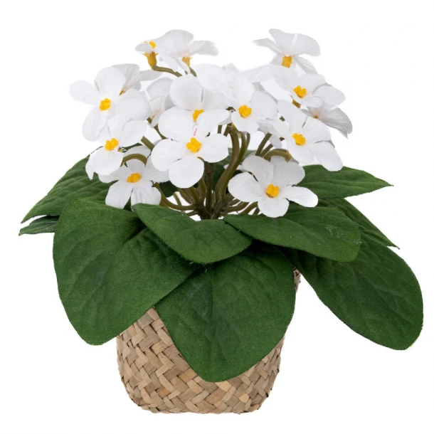 Μαργαρίτες Λευκές 17εκ. Σε Κασπώ Seagrass Φ9x7εκ. iliadis 92924