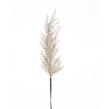 Κλαδί Με Pampas Λευκό 100εκ. iliadis 84720