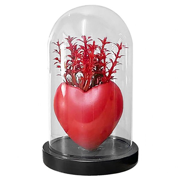 Homie Γυάλα Με Λουλούδια Κόκκινη Καρδιά 11x18εκ. Homie 22-3026 (Χρώμα: Κόκκινο) - Homie - 22-3026