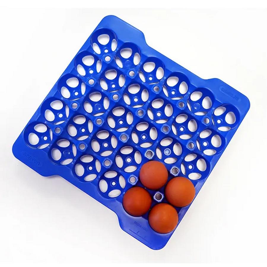 Αυγοθήκη 30 Θέσεων Πλαστική Μπλε Araven 29x29x4εκ. AR00073056 (Υλικό: Πλαστικό, Χρώμα: Μπλε) – Araven – AR00073056