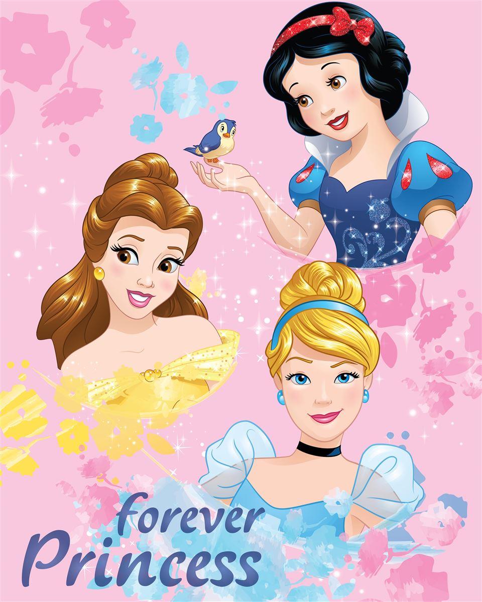 Κουβέρτα Fleece Κούνιας (130×170) Dimcol Disney Princess 045