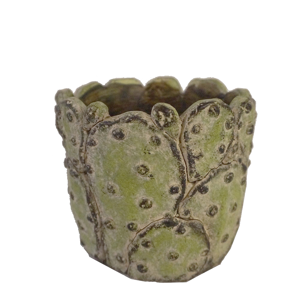 Γλάστρες - Ζαρντινιέρες 24home - ΣΗΜΑΝΤΙΚΟ: Σε περίπτωση διαφοράς τιμής από το κατάστημα ισχύει παντα και μόνο η τιμή του καταστήματος Κασπώ Κάκτος Κεραμικό ESPIEL 17,5x15εκ. JOE219 (Υλικό: