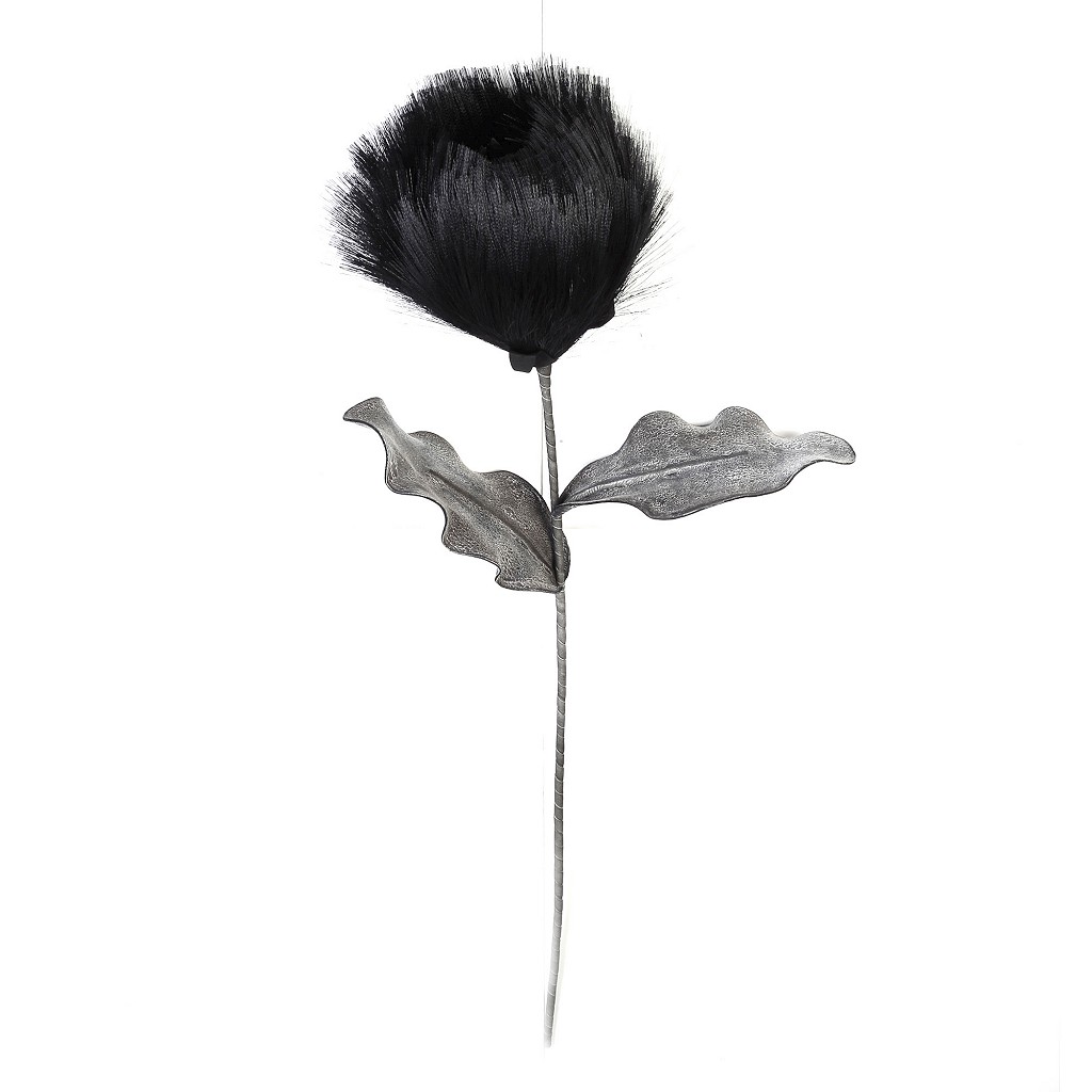 Κλαδί Με Λουλούδι Pampas Μαύρο 80εκ. Espiel MAP204K6 (Σ