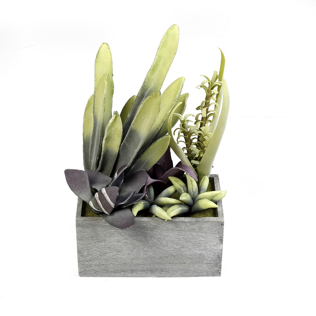 Διακοσμητικά Επιτραπέζια 24home - ΣΗΜΑΝΤΙΚΟ: Σε περίπτωση διαφοράς τιμής από το κατάστημα ισχύει παντα και μόνο η τιμή του καταστήματος Γλαστράκι Με Παχύφυτο Πράσινο 38εκ. ESPIEL MAP234K4 (Σε