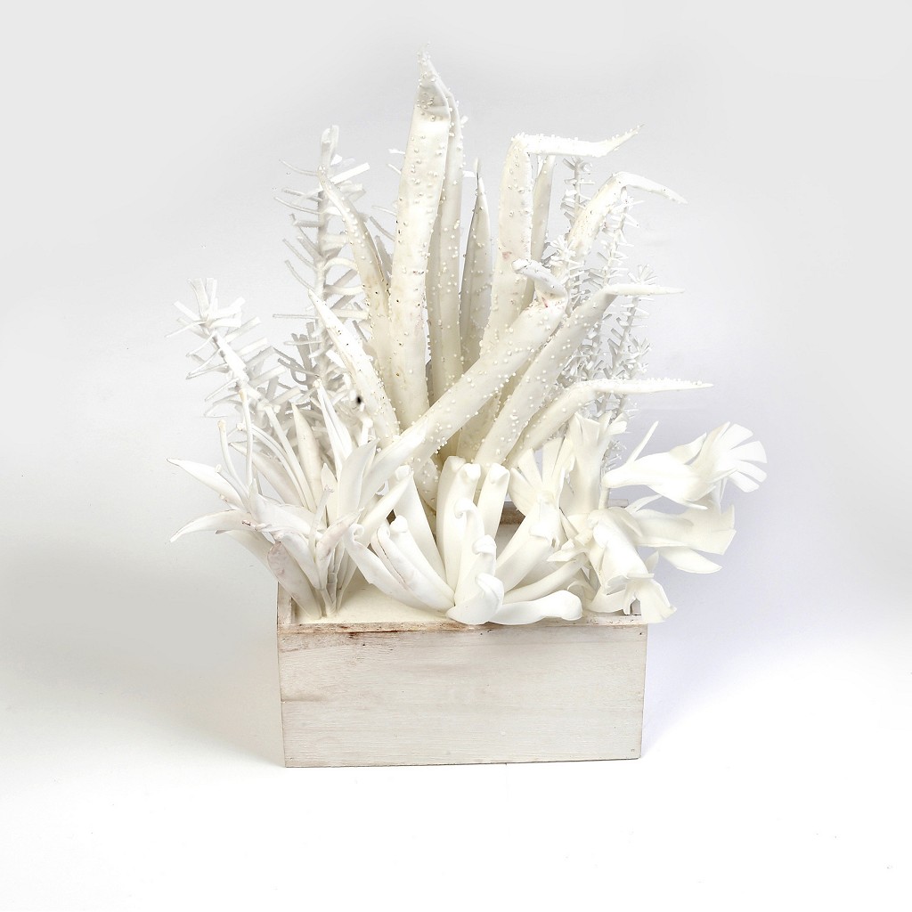 Γλαστράκι Με Παχύφυτο Λευκό 45εκ. ESPIEL MAP235K4 (Σετ 