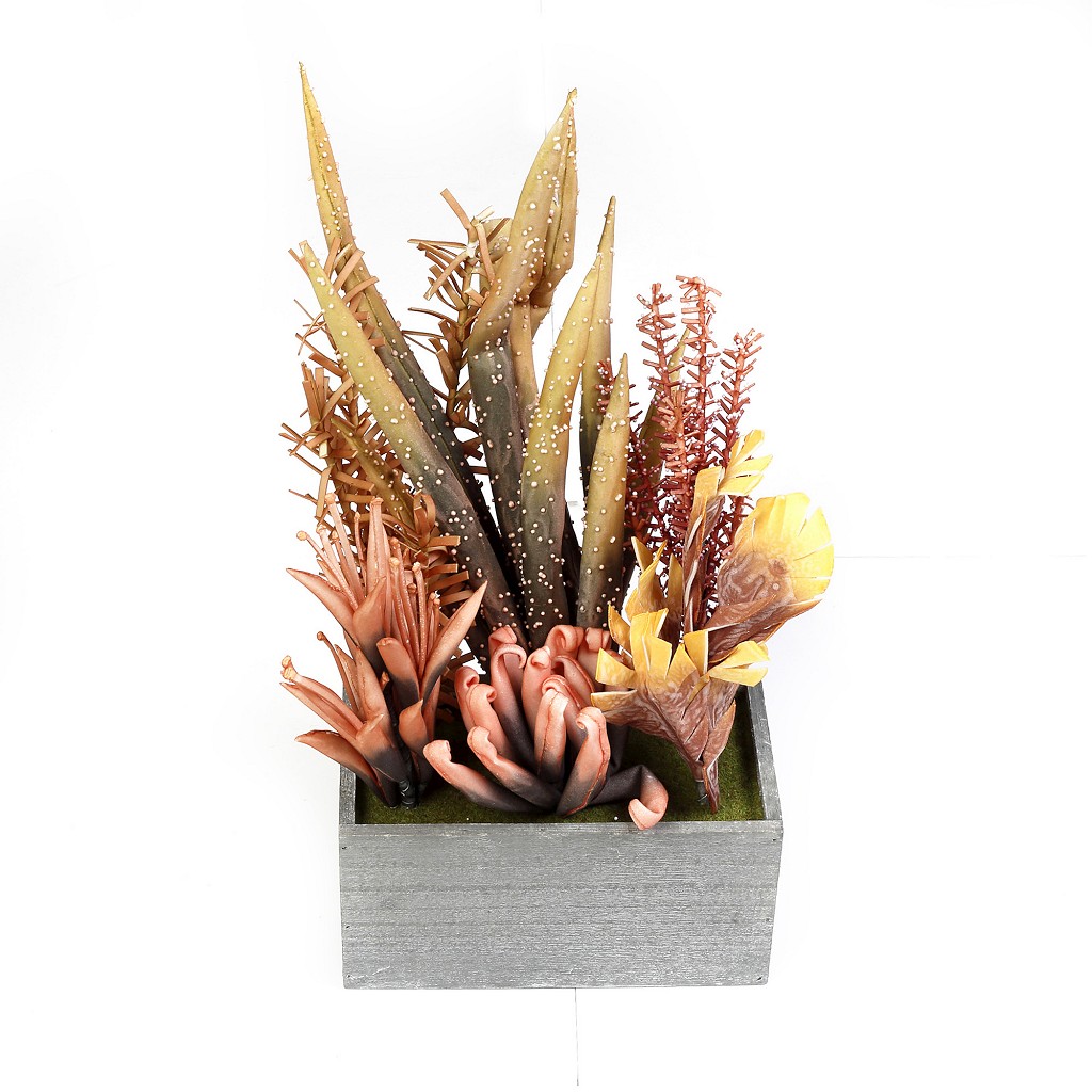 Γλαστράκι Με Παχύφυτο Σομόν 45εκ. ESPIEL MAP237K4 (Σετ 