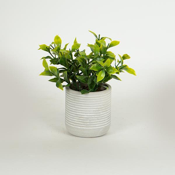 Διακοσμητικά Επιτραπέζια 24home - ΣΗΜΑΝΤΙΚΟ: Σε περίπτωση διαφοράς τιμής από το κατάστημα ισχύει παντα και μόνο η τιμή του καταστήματος Γλαστράκι Χάρτινη Πούλπα Με Φυτό 17εκ. Γκρι-Πράσινο EST