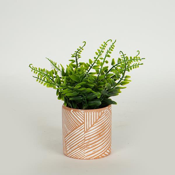 Διακοσμητικά Επιτραπέζια 24home - ΣΗΜΑΝΤΙΚΟ: Σε περίπτωση διαφοράς τιμής από το κατάστημα ισχύει παντα και μόνο η τιμή του καταστήματος Γλαστράκι Με Φυτό Τερρακότα-Πράσινο 18εκ. ESTHETI 758-1