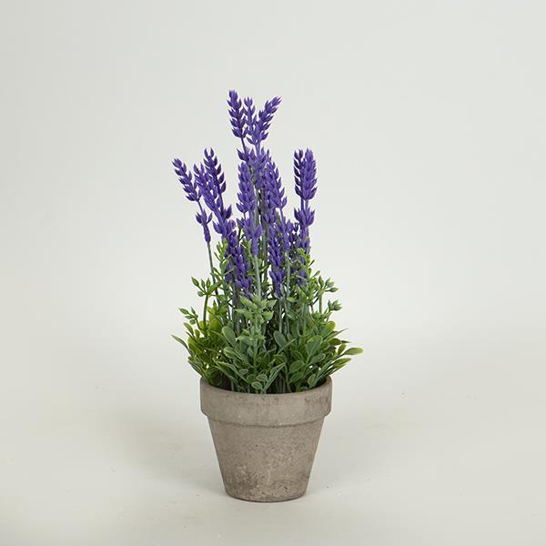 Διακοσμητικά Επιτραπέζια 24home - ΣΗΜΑΝΤΙΚΟ: Σε περίπτωση διαφοράς τιμής από το κατάστημα ισχύει παντα και μόνο η τιμή του καταστήματος Γλαστράκι Χάρτινη Πούλπα Με Φυτό 27εκ. Γκρι-Μωβ ESTHETI