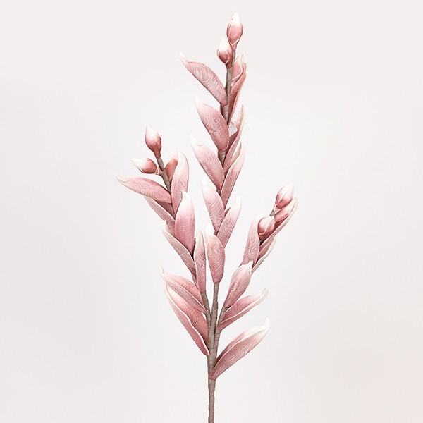 Διακοσμητικά Επιτραπέζια 24home - ΣΗΜΑΝΤΙΚΟ: Σε περίπτωση διαφοράς τιμής από το κατάστημα ισχύει παντα και μόνο η τιμή του καταστήματος Κλαδί Με Στάχυ Foam 28x108εκ. Ροζ ESTHETI 816-20040 (Σε