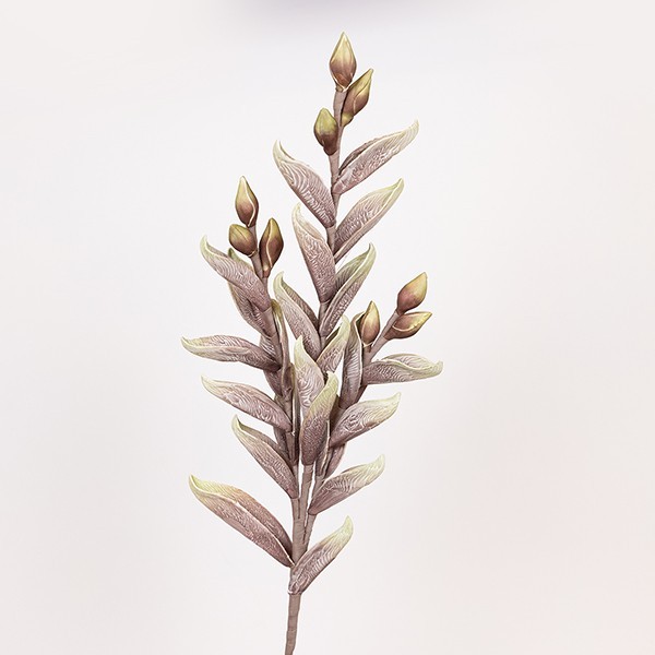 Διακοσμητικά Επιτραπέζια 24home - ΣΗΜΑΝΤΙΚΟ: Σε περίπτωση διαφοράς τιμής από το κατάστημα ισχύει παντα και μόνο η τιμή του καταστήματος Κλαδί Με Στάχυ Foam 28x108εκ. Πράσινο ESTHETI 816-20041