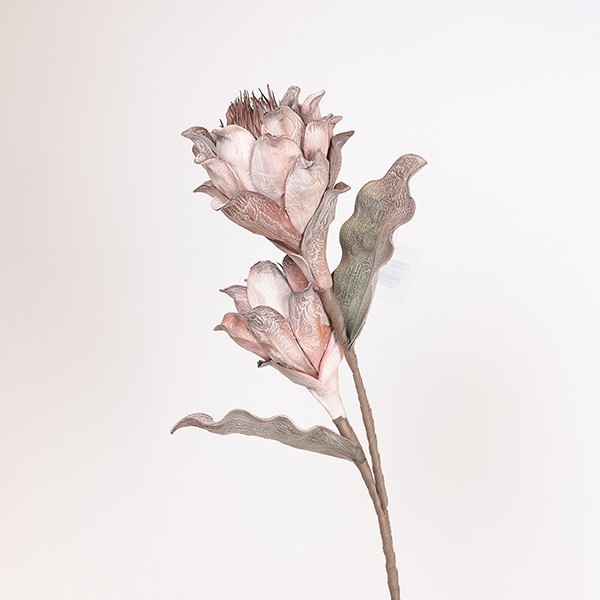 Διακοσμητικά Επιτραπέζια 24home - ΣΗΜΑΝΤΙΚΟ: Σε περίπτωση διαφοράς τιμής από το κατάστημα ισχύει παντα και μόνο η τιμή του καταστήματος Κλαδί Με Λουλούδι Πρωτέα Foam 26x100εκ. Μπεζ-Κόκκινο ES