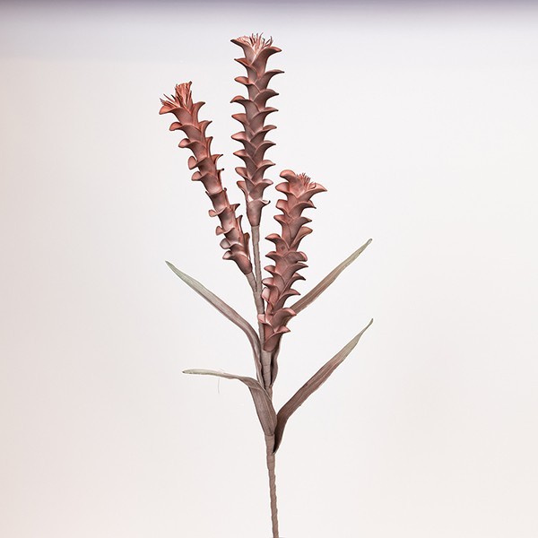 Διακοσμητικά Επιτραπέζια 24home - ΣΗΜΑΝΤΙΚΟ: Σε περίπτωση διαφοράς τιμής από το κατάστημα ισχύει παντα και μόνο η τιμή του καταστήματος Κλαδί Με Αλοΐδες Foam 30x105εκ. Μπορντώ ESTHETI 816-200