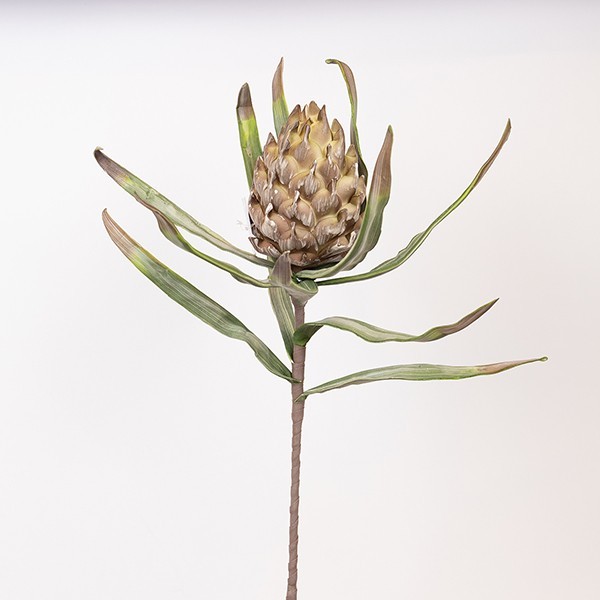 ESTHETI - ΣΗΜΑΝΤΙΚΟ: Σε περίπτωση διαφοράς τιμής από το κατάστημα ισχύει παντα και μόνο η τιμή του καταστήματος Κλαδί Με Αγκινάρα Foam 23x105εκ. Πράσινο ESTHETI 816-20