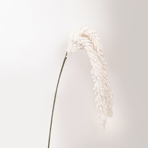 Διακοσμητικά Επιτραπέζια 24home - ΣΗΜΑΝΤΙΚΟ: Σε περίπτωση διαφοράς τιμής από το κατάστημα ισχύει παντα και μόνο η τιμή του καταστήματος Κλαδί Με Αμάρανθο Foam 20x140εκ. Λευκό ESTHETI 816-2006