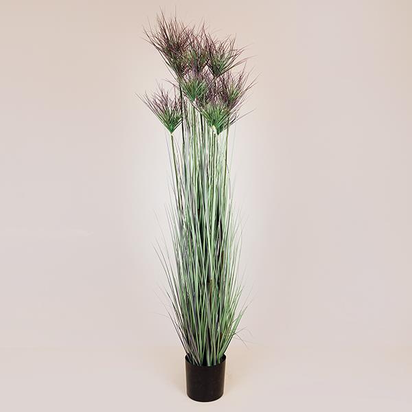 Γλαστράκι Πλαστικό Με Φυτό Γρασίδι 183εκ. Πράσινο ESTHETI 816-50016 (Υλικό: Πλαστικό, Χρώμα: Πράσινο ) - ESTHETI - 816-50016