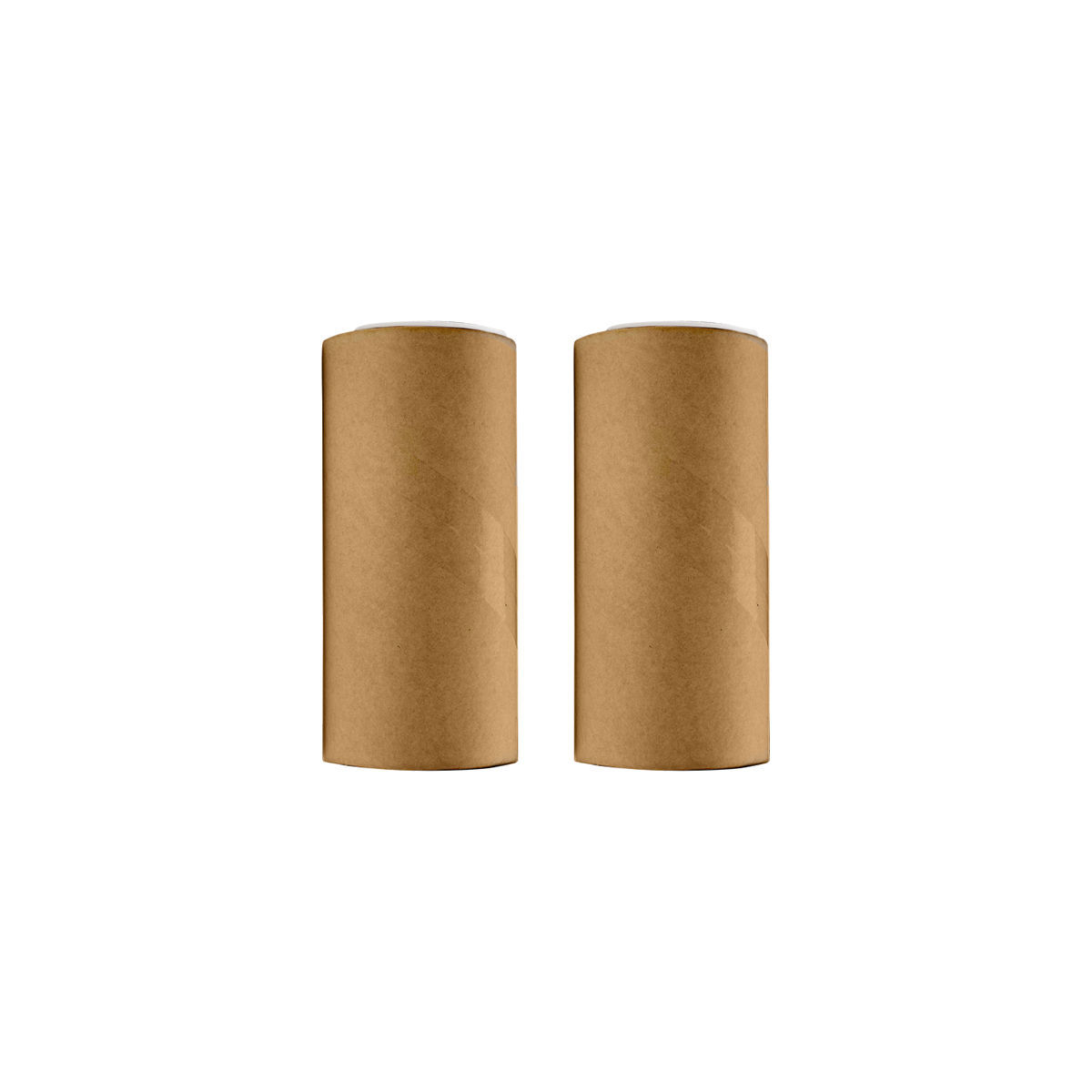 Ανταλλακτικά Σετ 2τμχ Για Αποχνουδωτή Με 60 Φύλλα 4,8x4,8x10εκ. Estia...