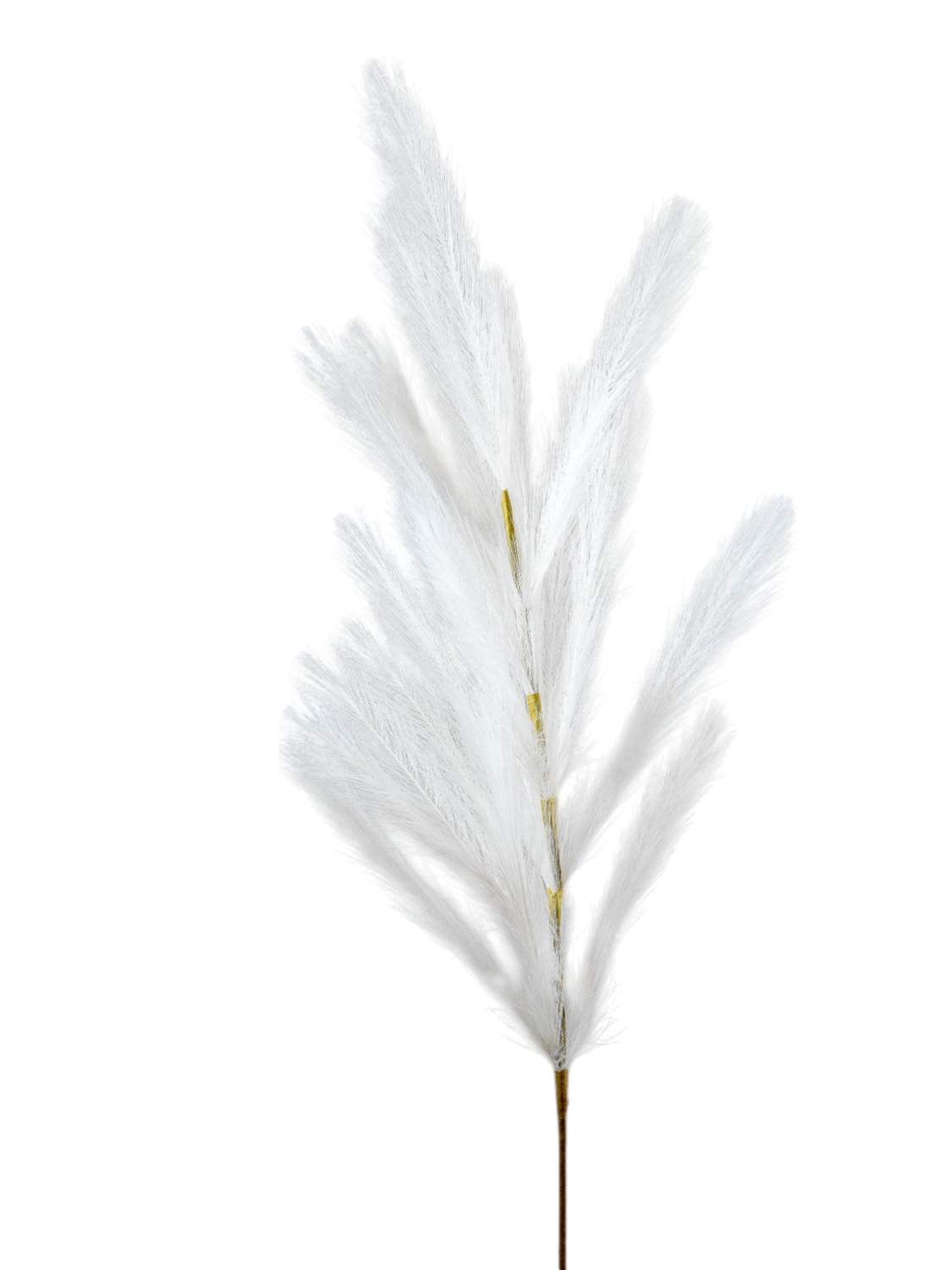 ZEN COLLECTION - ΣΗΜΑΝΤΙΚΟ: Σε περίπτωση διαφοράς τιμής από το κατάστημα ισχύει παντα και μόνο η τιμή του καταστήματος Κλαδί Pampas Λευκό 110εκ. Zen Collection 25.32.51779 (Σ
