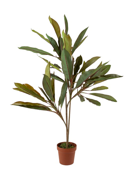 Διακοσμητικό Φυτό Κορδυλίνη 110εκ. Zen Collection 25.31.51776 (Χρώμα: Πράσινο ) - ZEN COLLECTION - 25.31.51776