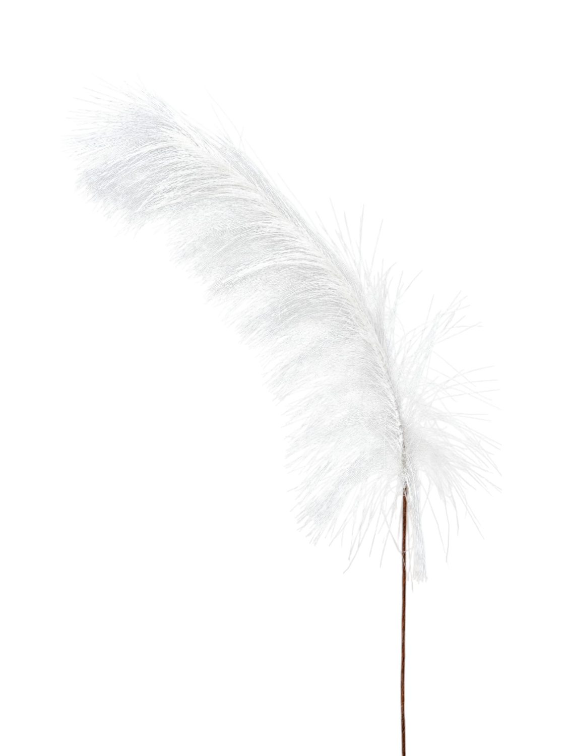 Κλαδί Pampas Λευκό 74εκ. Zen Collection 25.32.51790 (Σετ 6 Τεμάχια) (Χρώμα: Λευκό) - ZEN COLLECTION - 25.32.51790