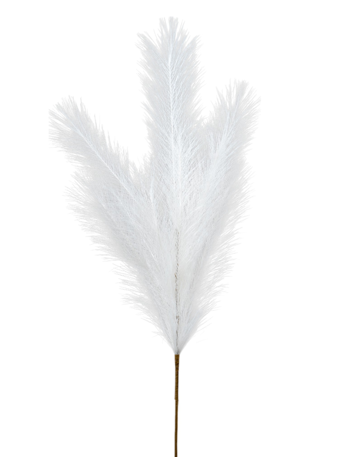 Κλαδί Pampas Λευκό 80εκ. Zen Collection 25.32.51785 (Σε