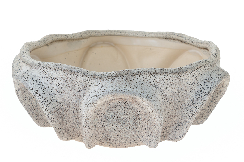 Διακοσμητικά Επιτραπέζια 24home - ΣΗΜΑΝΤΙΚΟ: Σε περίπτωση διαφοράς τιμής από το κατάστημα ισχύει παντα και μόνο η τιμή του καταστήματος Διακοσμητικό Μπωλ Γκρι 31,5x12,5εκ. Zen Collection 24.2