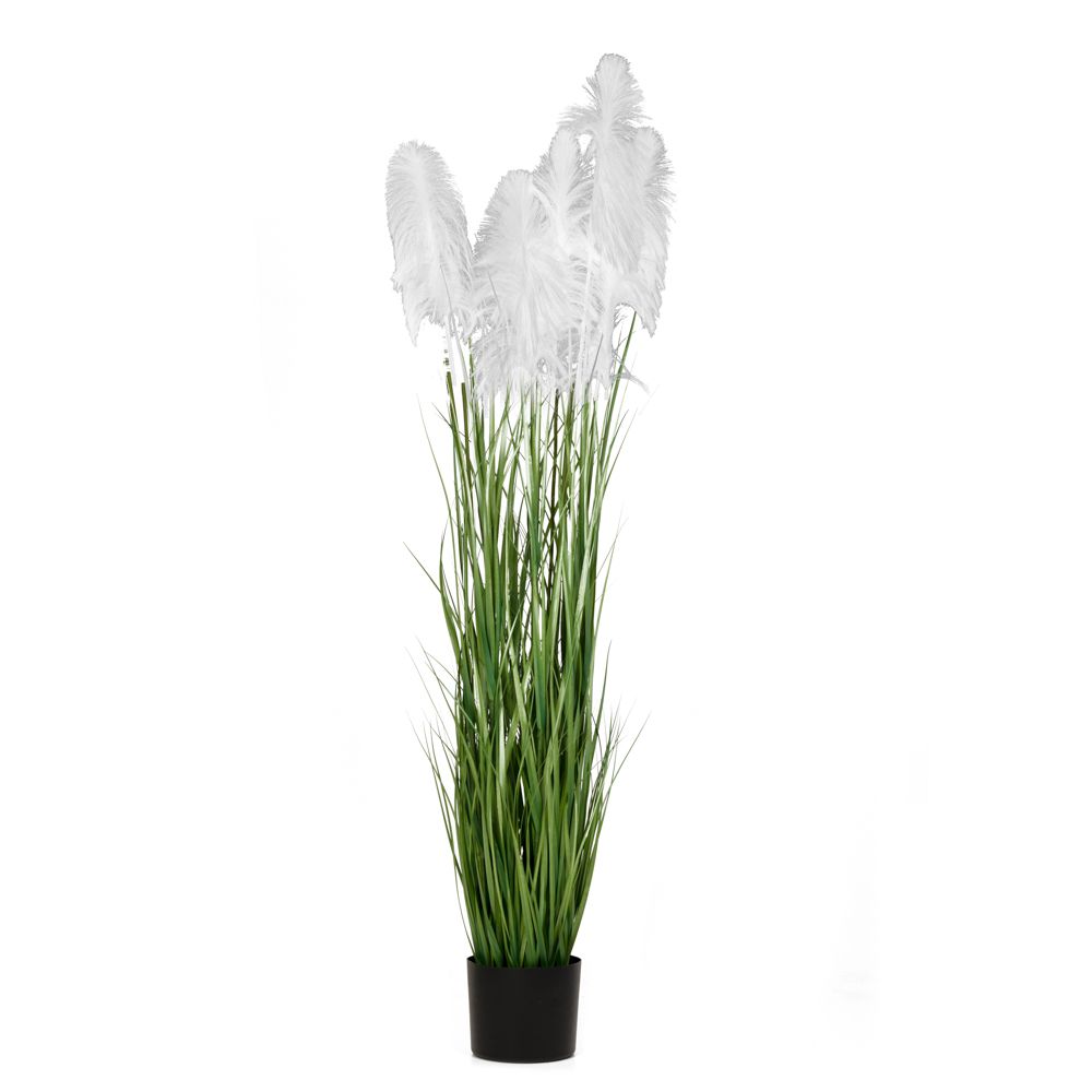 Φυτό Pampas Grass Λευκό iliadis Φ23×220εκ. 85075 (Χρώμα: Λευκό) – Iliadis – il_85075