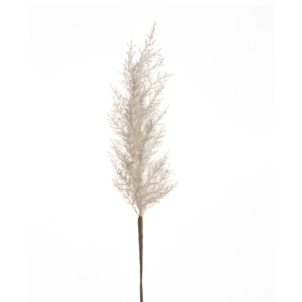 Iliadis Κλαδί Με Pampas Λευκό 100εκ. iliadis 84720 (Σετ 2 Τεμάχια) (Χρώμα: Λευκό) - Iliadis - il_84720