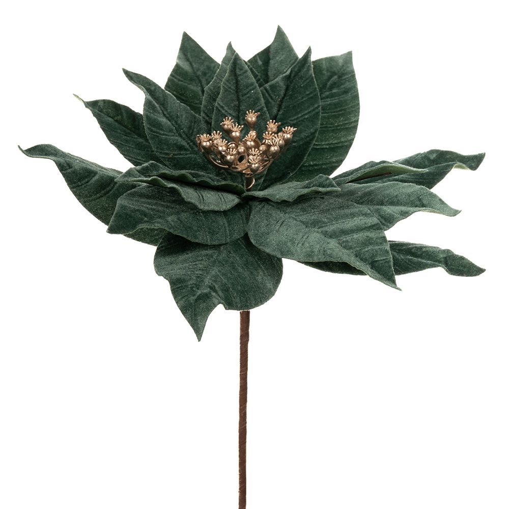 Χριστουγεννιάτικο Λουλούδι Αλεξανδρινό Πετρόλ 30x50εκ. 