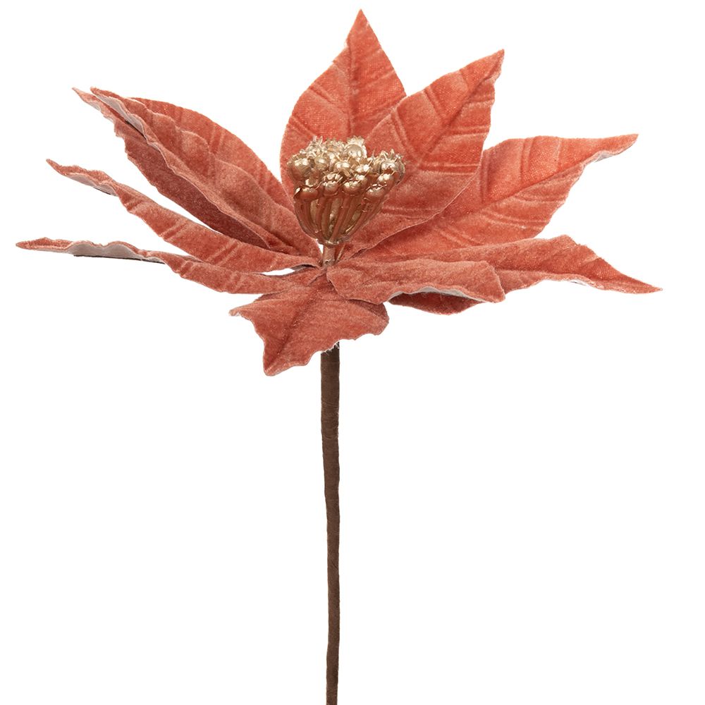 Χριστουγεννιάτικο Λουλούδι Αλεξανδρινό Κοραλί 23x35εκ. 