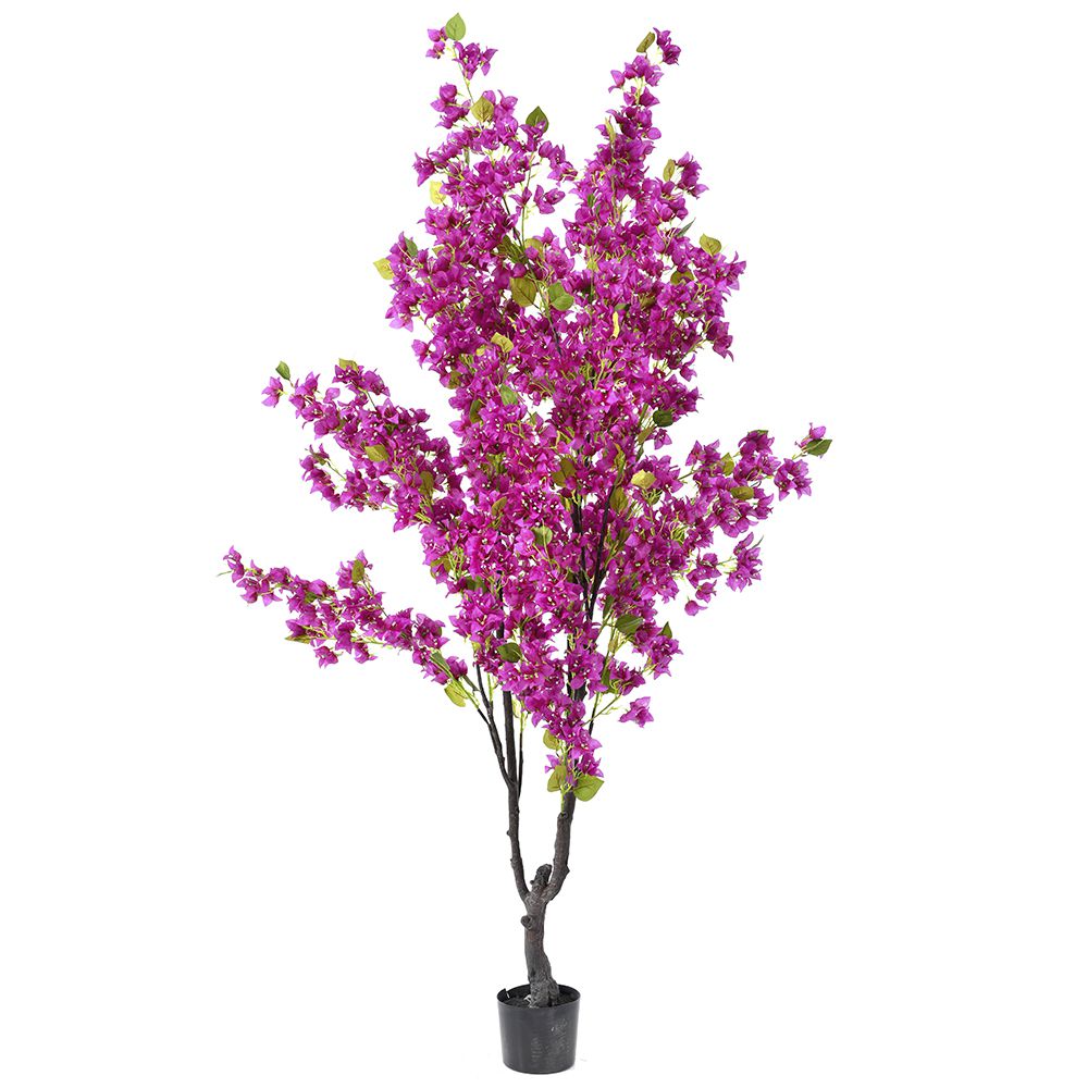 Διακοσμητικά Επιτραπέζια 24home - ΣΗΜΑΝΤΙΚΟ: Σε περίπτωση διαφοράς τιμής από το κατάστημα ισχύει παντα και μόνο η τιμή του καταστήματος Διακοσμητικό Φυτό Βουκαμβίλια Μωβ 210εκ. iliadis 80906