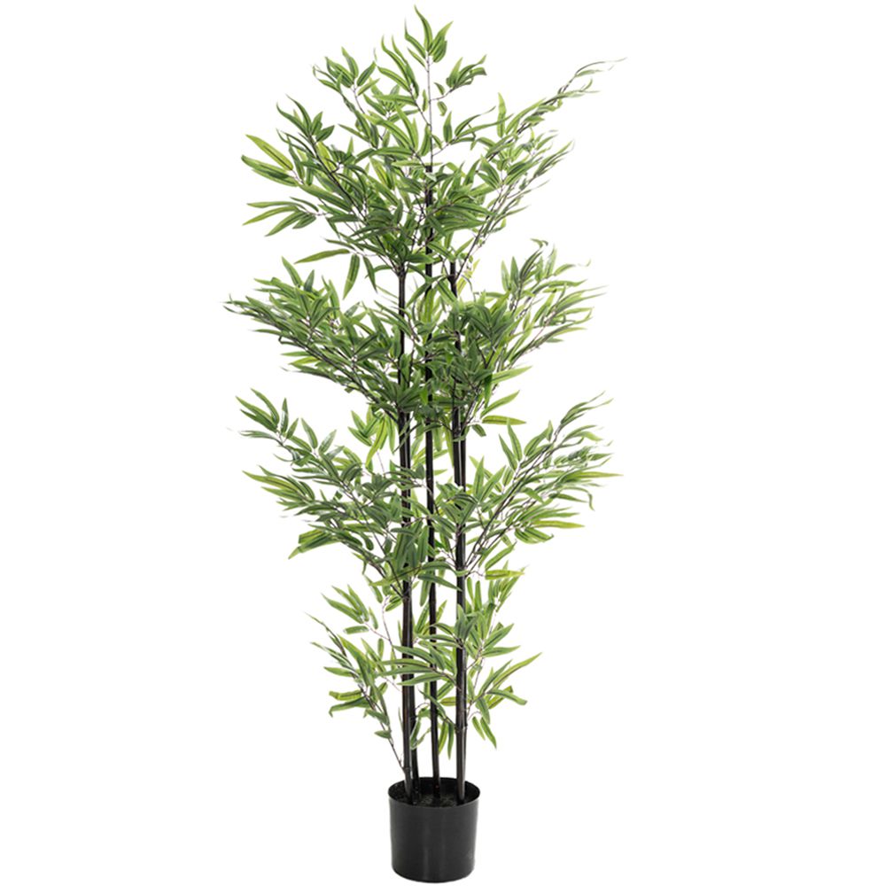Iliadis - ΣΗΜΑΝΤΙΚΟ: Σε περίπτωση διαφοράς τιμής από το κατάστημα ισχύει παντα και μόνο η τιμή του καταστήματος Διακοσμητικό Φυτό Bamboo Πράσινο 150εκ. iliadis 85118 (