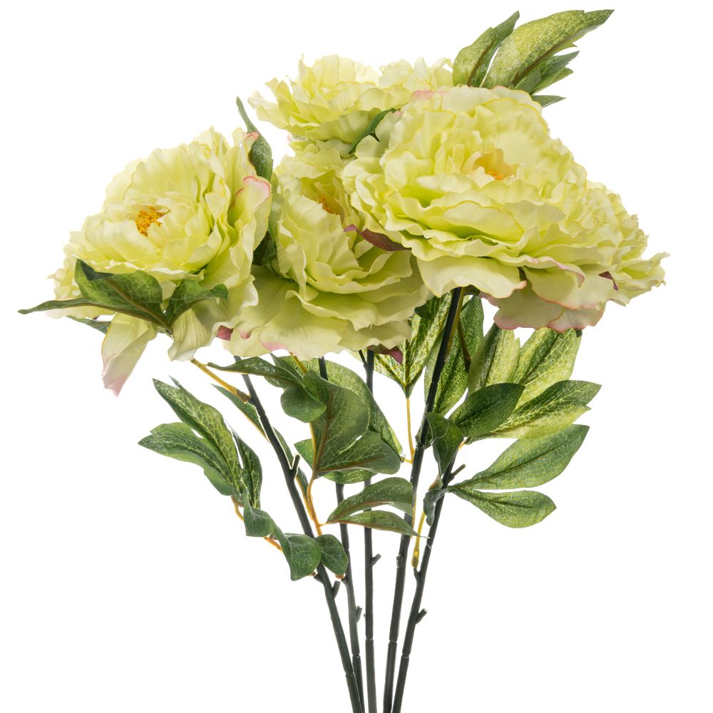 Iliadis - ΣΗΜΑΝΤΙΚΟ: Σε περίπτωση διαφοράς τιμής από το κατάστημα ισχύει παντα και μόνο η τιμή του καταστήματος Μπουκέτο Με 5 Χρυσάνθεμα Λαχανί 55εκ. iliadis 90186 (Σε