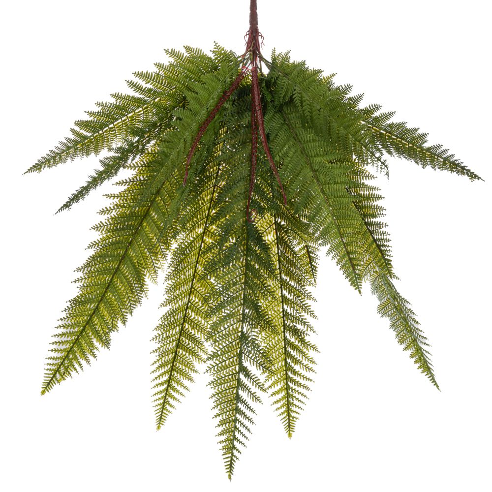 Iliadis - ΣΗΜΑΝΤΙΚΟ: Σε περίπτωση διαφοράς τιμής από το κατάστημα ισχύει παντα και μόνο η τιμή του καταστήματος Ρίζα Με Κρεμαστή Φτέρη Πράσινη 80εκ. iliadis 89908 (Σετ