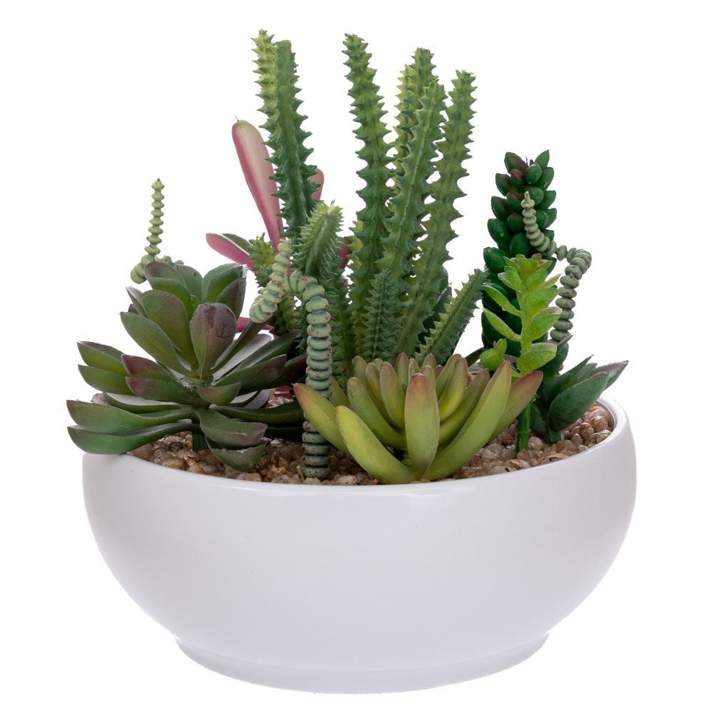 Γλαστράκι Παχύφυτο Κεραμικό Λευκό 17εκ. iliadis 92677 (Σετ 4 Τεμάχια) (Υλικό: Κεραμικό, Χρώμα: Λευκό) - Iliadis - il_92677