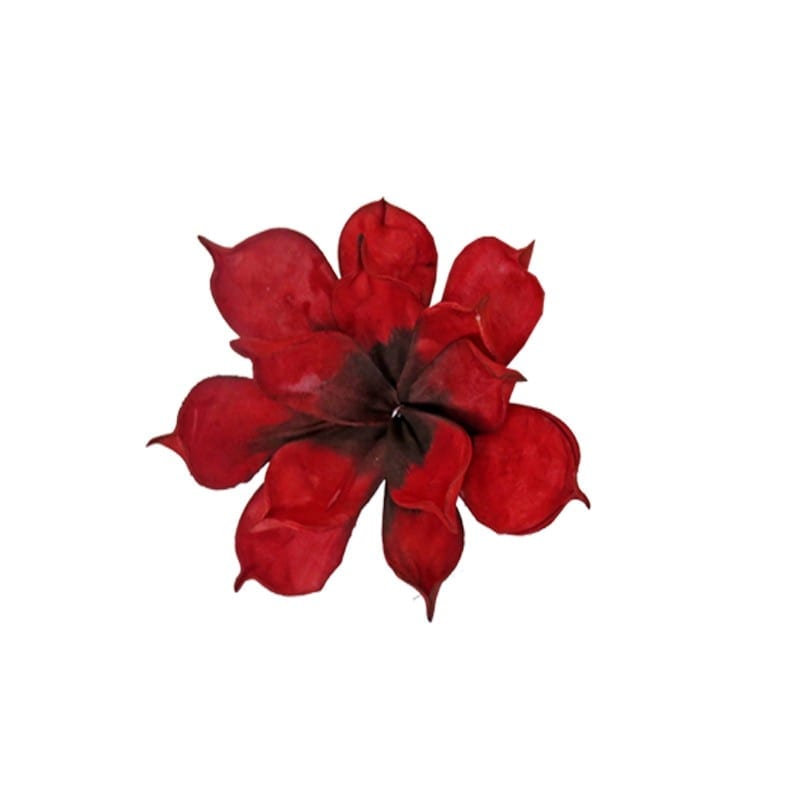 Διακοσμητικά Επιτραπέζια 24home - ΣΗΜΑΝΤΙΚΟ: Σε περίπτωση διαφοράς τιμής από το κατάστημα ισχύει παντα και μόνο η τιμή του καταστήματος Λουλούδι Κοραλί Art Et Lumiere 18εκ. 07066 (Σετ 6 Τεμάχ