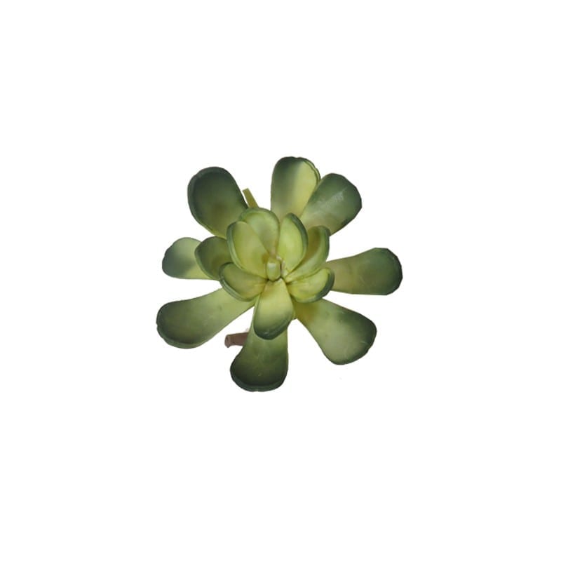 Διακοσμητικά Επιτραπέζια 24home - ΣΗΜΑΝΤΙΚΟ: Σε περίπτωση διαφοράς τιμής από το κατάστημα ισχύει παντα και μόνο η τιμή του καταστήματος Λουλούδι Πράσινο Art Et Lumiere 18εκ. 07128 (Σετ 6 Τεμά