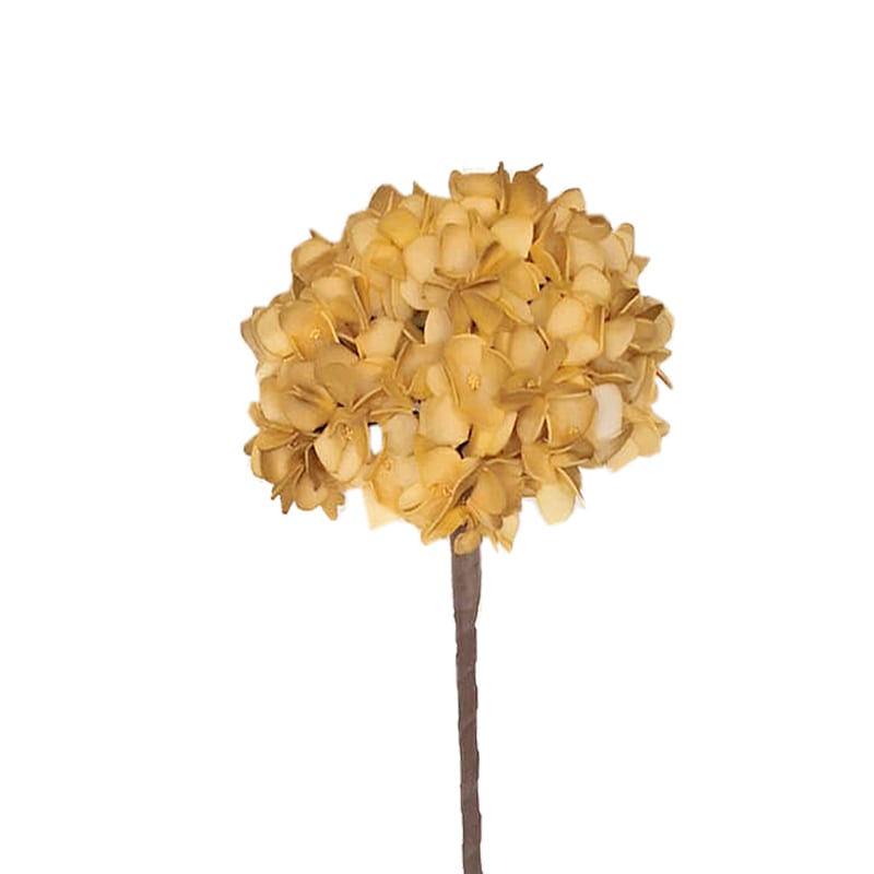 Διακοσμητικά Επιτραπέζια 24home - ΣΗΜΑΝΤΙΚΟ: Σε περίπτωση διαφοράς τιμής από το κατάστημα ισχύει παντα και μόνο η τιμή του καταστήματος Λουλούδι Κίτρινο Art Et Lumiere 90εκ. 10151 (Σετ 6 Τεμά