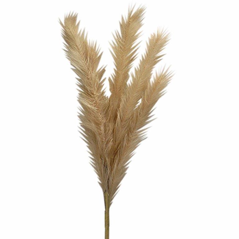 Art Et Lumiere Κλαδί Pampas Ιβουάρ Art Et Lumiere 100εκ. 10642 (Χρώμα: Ιβουάρ) - Art Et Lumiere - lumiere_10642